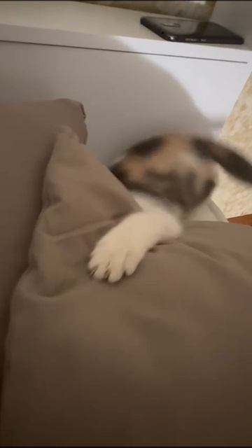 05-05-2025 смотреть онлайн