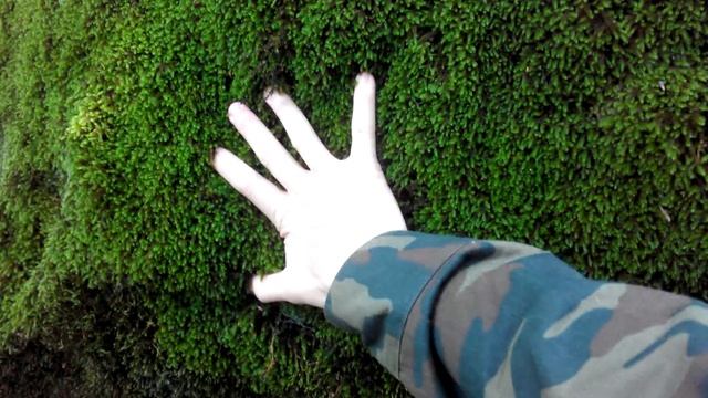 Заблудились под Бештау смотреть онлайн