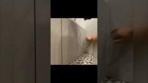 Вы только посмотрите