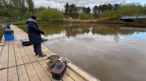 Бойкая Форель.СЗ