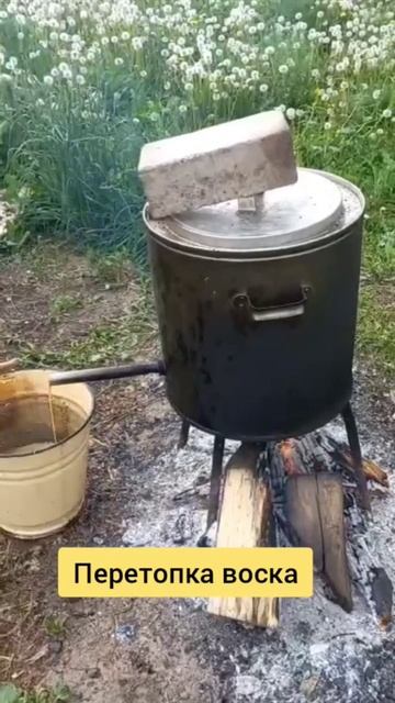Перетопка воска #простоопчелах