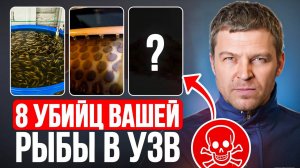 8 самых популярных причин ГИБЕЛИ РЫБЫ в УЗВ (жаль, что мне не рассказали о них раньше)
