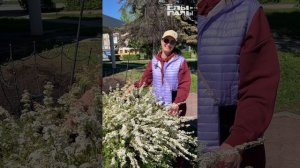 Летняя любовь у ЗАГСа : "ЁЛЫ-ПАЛЫ" и студенты ТЭТ подарили городу цветущий уголок!