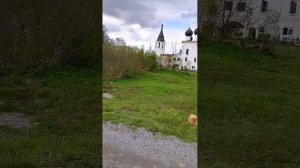 колокойный звон- села Хопылево, Ярославской области! день жен- мироносиц, женский день