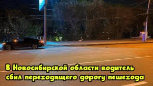 В Новосибирской области водитель сбил переходящего дорогу пешехода