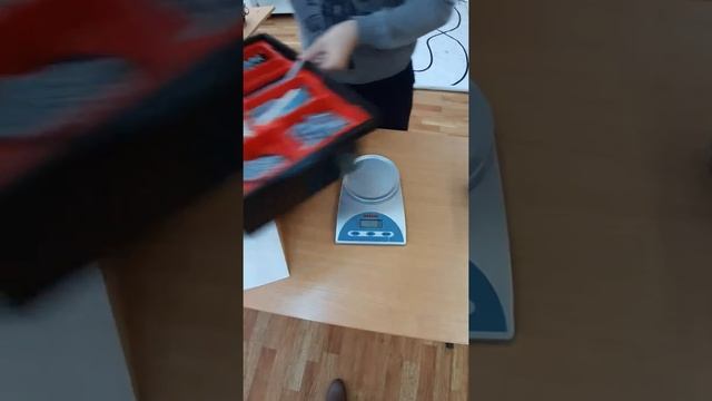 Робофинист 2019 Роболайт