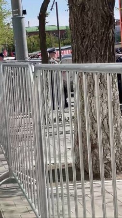 В Оренбурге , на Советской идут на репетицию к дом советов