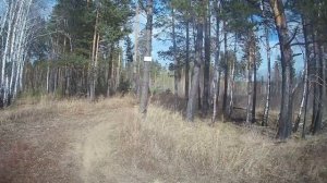 Семейная прогулка 04.05.25