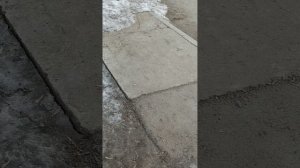 18 марта 2025 г., 10:39:18
Двор П. Осипенко 48
VID_20250318_103759681