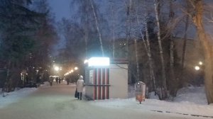 Новосибирск, центральный парк 29.11.2024