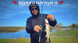 (Обрез) предсерийный Олта Магнум 74L 224 см ,щука,окунь,джиг-риг,Tiny Magalon