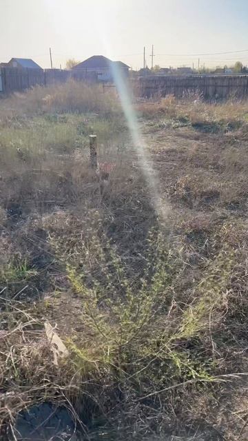 Земельный участок в Белом Яре по Ул. Горького, 12 соток, свет есть, рядом новая школа, сад, клуб