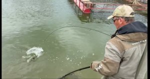 Видеообзор с водоема