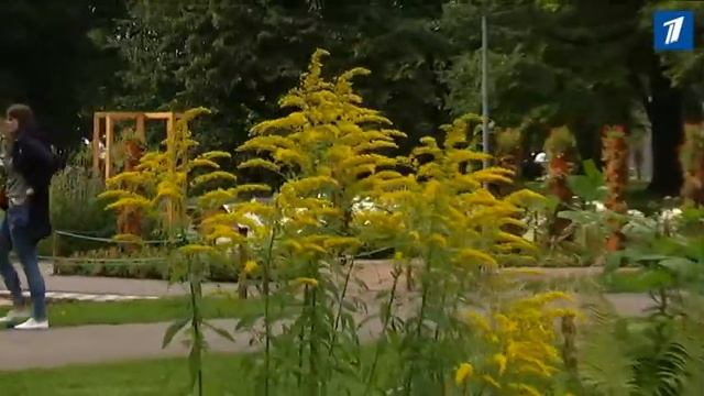 Последняя возможность посетить таллиннский фестиваль цветов смотреть онлайн