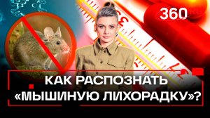 «Синяки, будто от удара ремнем». Эксперт назвал неочевидные симптомы «мышиной лихорадки»