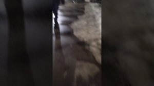 15 марта 2025 г., 21:36:09
ул. Газеты Звезда
VID_20250315_213436330