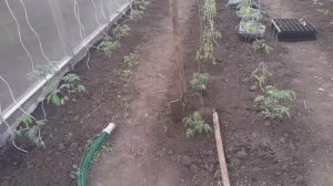 05.05. Все сначала на новом месте. Что сделано в огороде, что планируется.