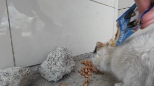 Жизнь в селе.Убираю траву во дворе.Пожарила мясо.Влог 30.04-1.05.2025