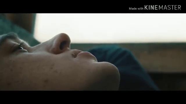 ЛИТВИНЕНКО-Папаграмм