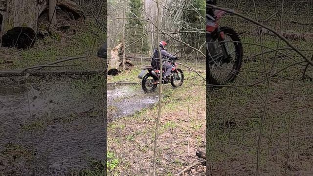 Sycmcc 300 про мот. смотреть онлайн