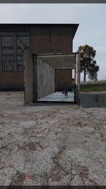 Компактный тиммейт - DAYZ dayz  shorts  standalone