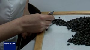 РОССЕЛЬХОЗНАДЗОР ПРОВЕЛ РЕЙД ПО ТОЧКАМ ПРОДАЖ СЕМЯН