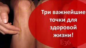 Важнейшие три точки тела человека 09