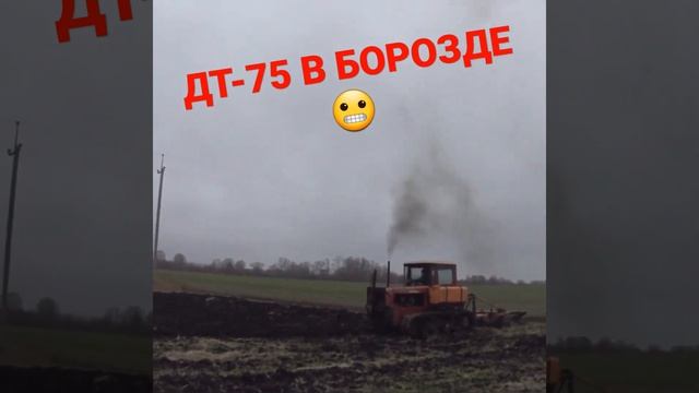 ДТ-75 В ПАХОТЕ ЗВЕРЮГА👍👍👍 смотреть онлайн