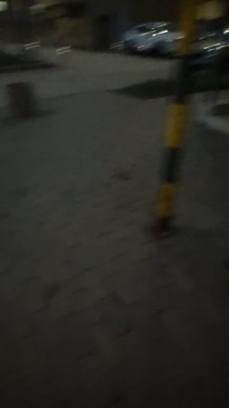 Песики бой😁