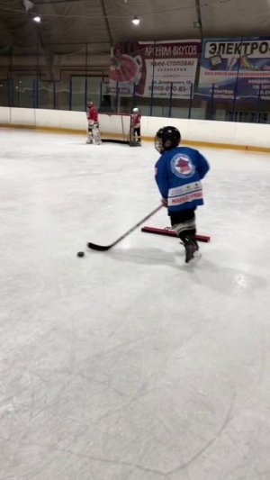 Тренировочный инвентарь для хоккея BAIRUS SPORT