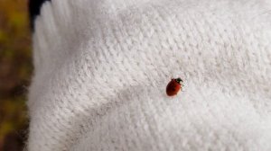 Новосибирск. Набережная Речного вокзала. 2 мая 2025