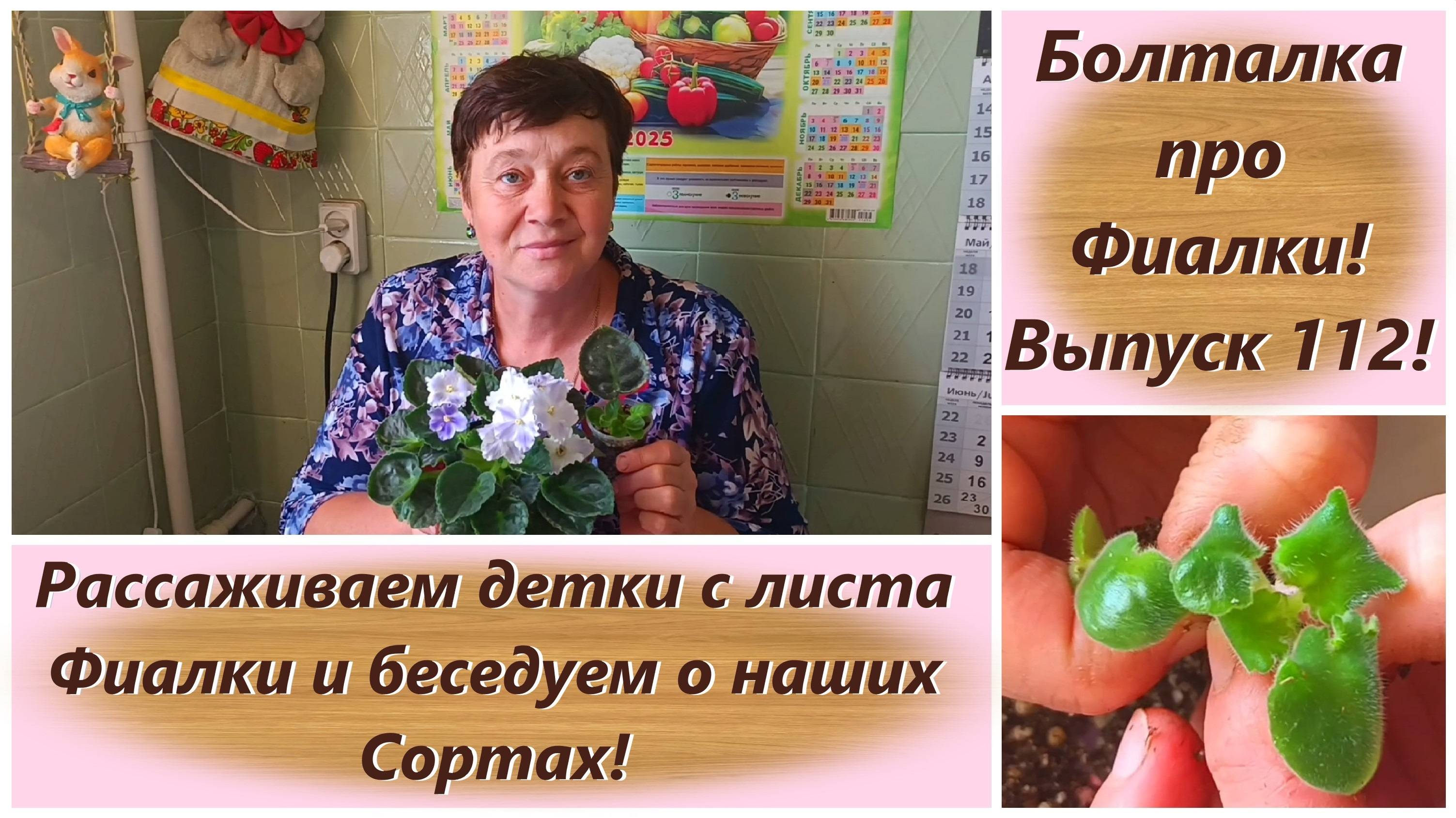 Болталка про Фиалки! Выпуск 112! Рассаживаем детки с листа Фиалки и беседуем о наших Сортах!