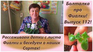 Болталка про Фиалки! Выпуск 112! Рассаживаем детки с листа Фиалки и беседуем о наших Сортах!