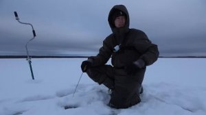 ЛОМАЮТСЯ УДОЧКИ и ТРЕЩАТ ЛЕСКИ! Окунь размером с Щуку! Рыбалка по первому льду 2022-23.