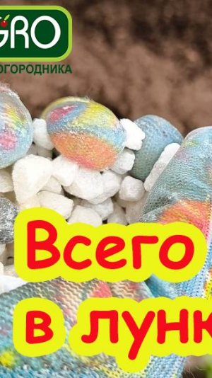 ПРИГОТОВЬТЕСЬ К БОЛЬШОМУ УРОЖАЮ! Что положить в лунку при посадке томатов? Забудьте о вершинке!