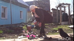 Что бы не упасть в уныние нужно как то себя отвлекать, хозяйство в этом помогает, разнимаю индюков