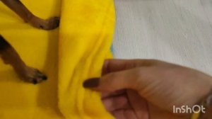 2024г.. Классные покупки на ВБ и Озон для меня и Артема с примеркой//Апгрейд кухни //Mariya VD LIFE