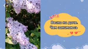 Песня В. Казаченко.Весна на даче. Я и наш огород.