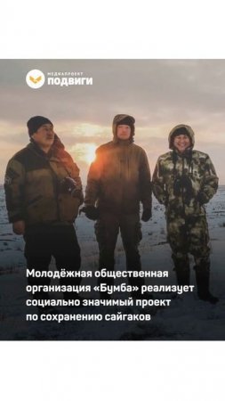 Общественная организация «Бумба» возрождает популяцию сайгаков