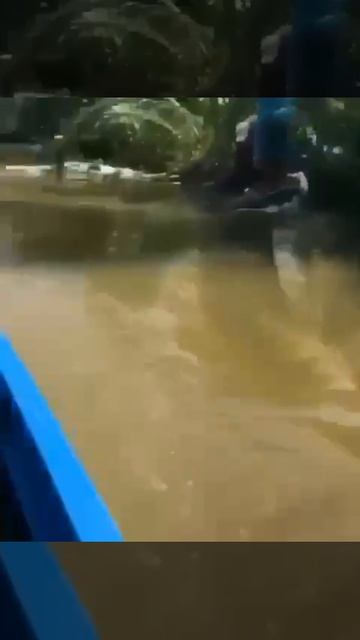 Я  сначала подумал пленных ВСУшников везут😂😂😂