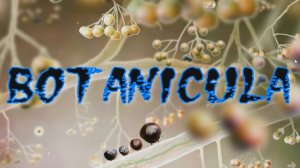 BOTANICULA 2-часть