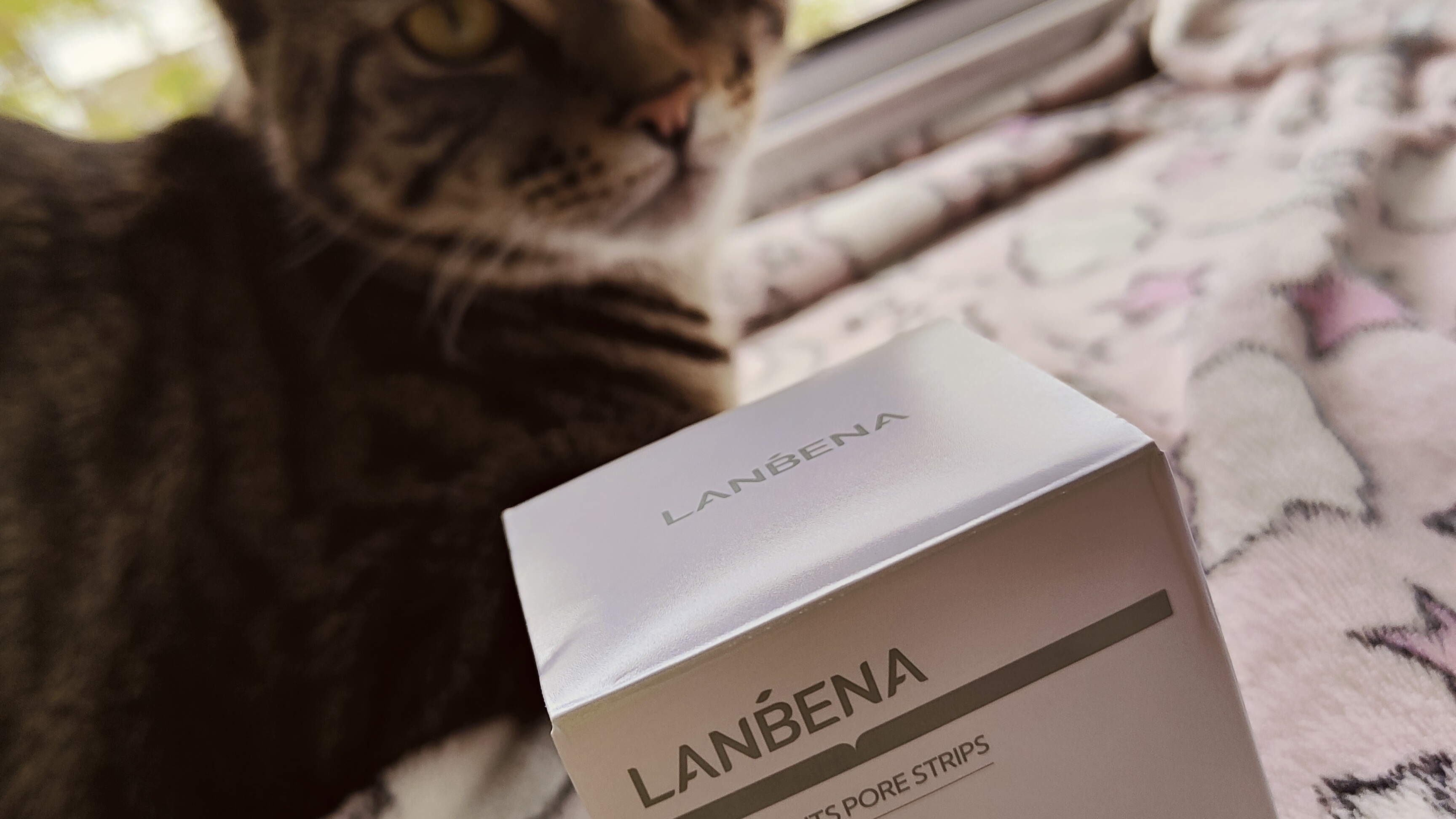 Lanbena Средство от черных точек на лице❤️