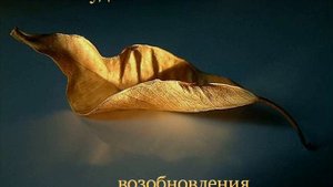 Каждое утро (музыка "Аве Мария", исполнитель Владимир Кафельников)
