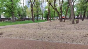 Летняя танцплощадка а Белгороде 05.05.25.