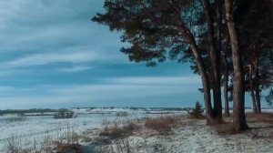 владимир курский