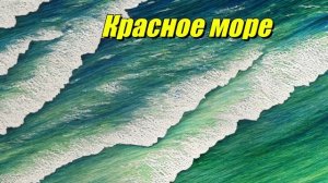 Красное море