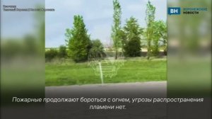 Пожар площадью 3 га охватил поле рядом с Новой Усманью