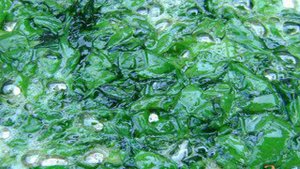 Золотистый рис со шпинатом и куркумой