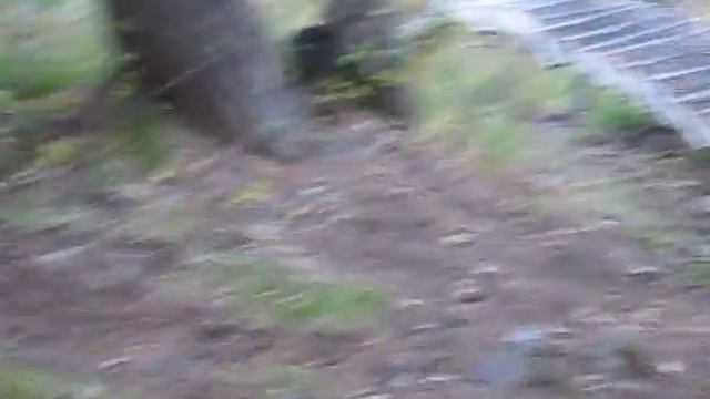 Лиса в Оленьих Ручьях 2 смотреть онлайн