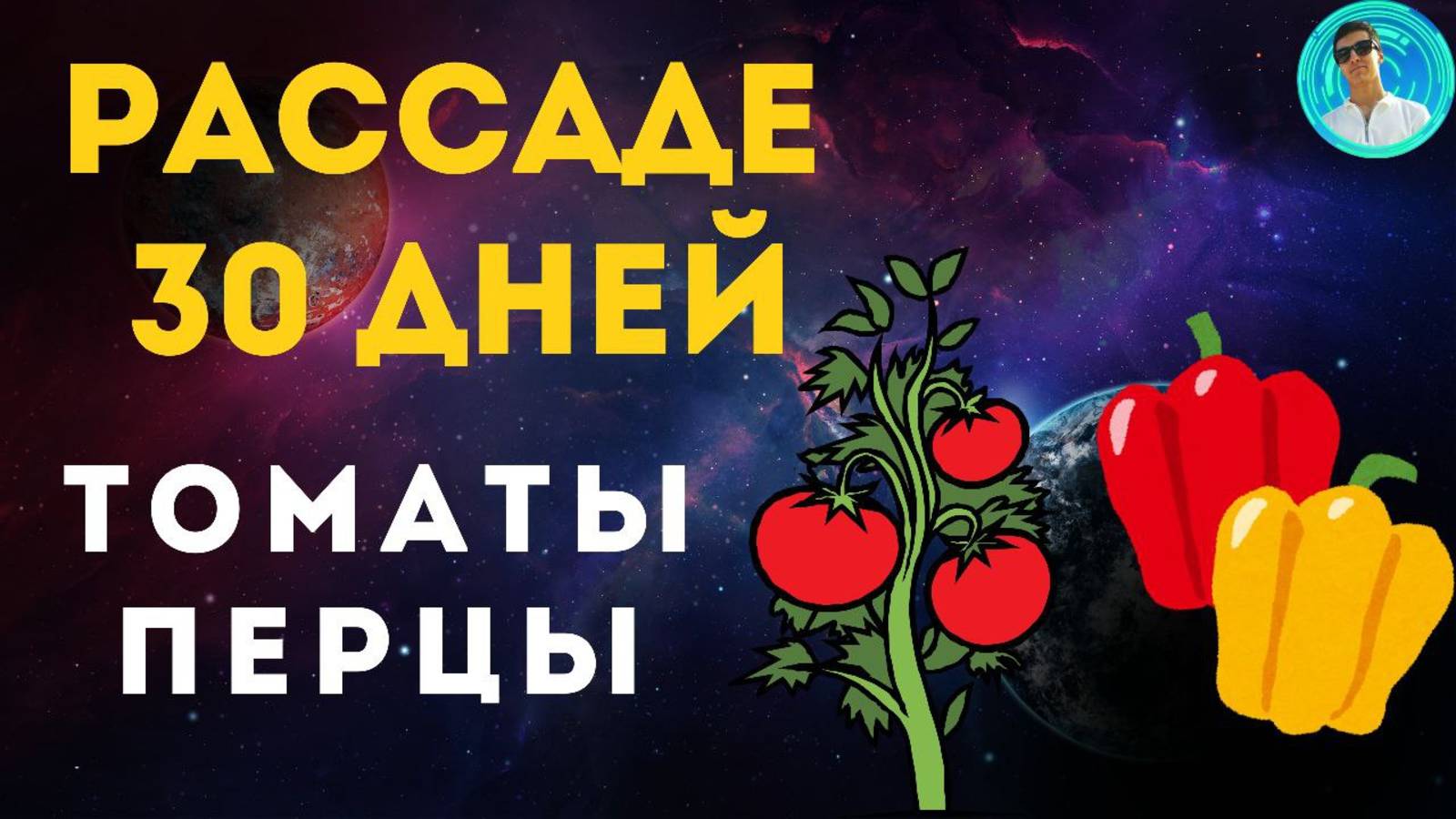 Обзор рассады | Перцам и Томатам 30 дней | Пермакультура